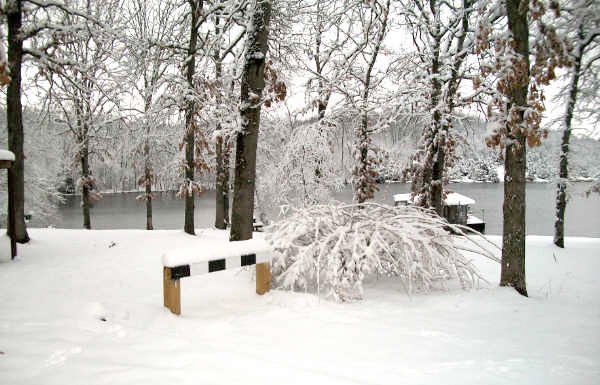 steeple2010